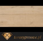 SUOMI gr.2cm płyta gresowa 60x120cm