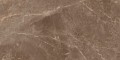 LITOS-BROWN-60x120x2-min.jpg