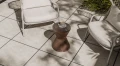 calstone_cream_zoya.webp