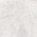 EVOLUTION_60x60_White_9.webp