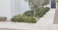 Marazzi_Naturalia20_000.jpg