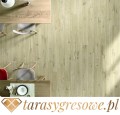 Płyta gresowa Woodtale 40x120cm Ragno