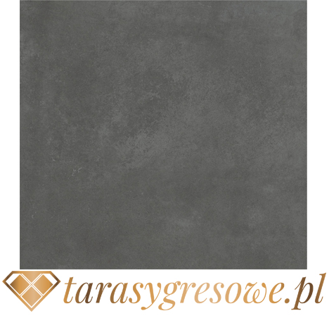 DANZIG gr.3cm płyta gresowa 60x60cm